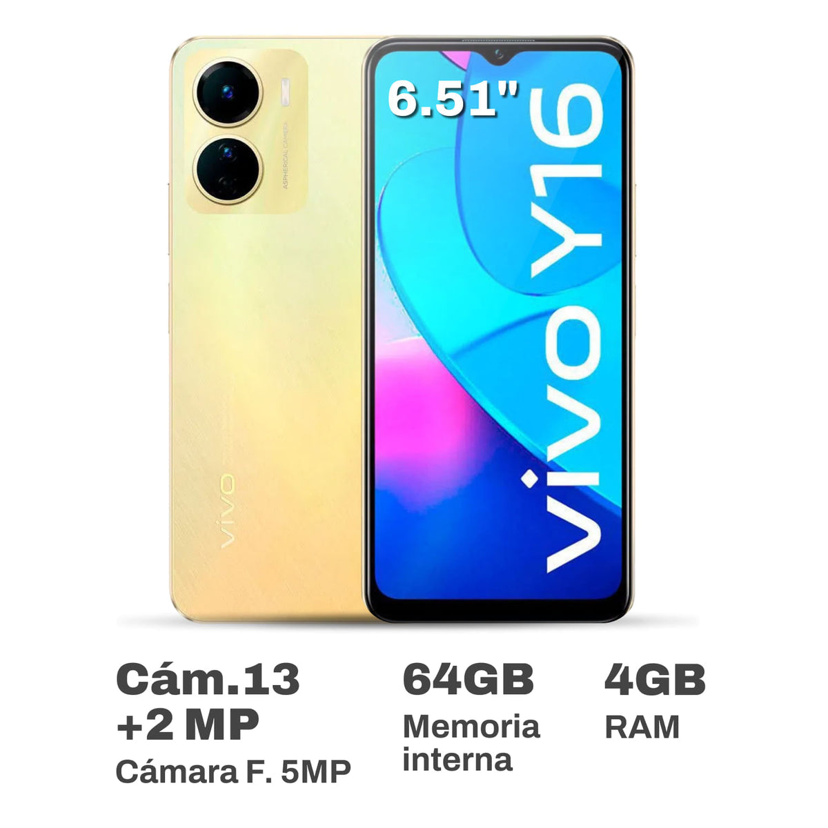 VIVO TMP-plazavea-100592866